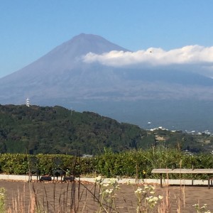 富士市の富士山